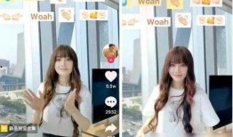 爆料二姐视频大全下载最新,最新爆料带你领略精彩瞬间